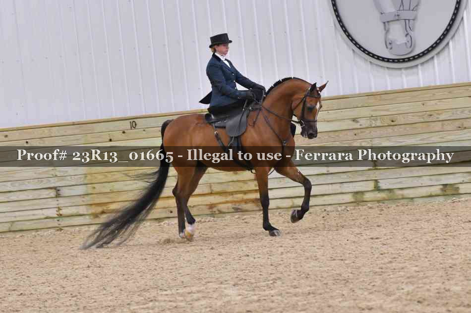Proof Number 23R13_01665