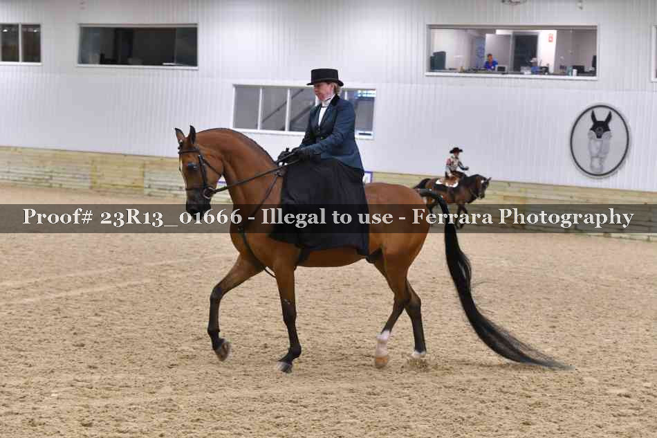 Proof Number 23R13_01666
