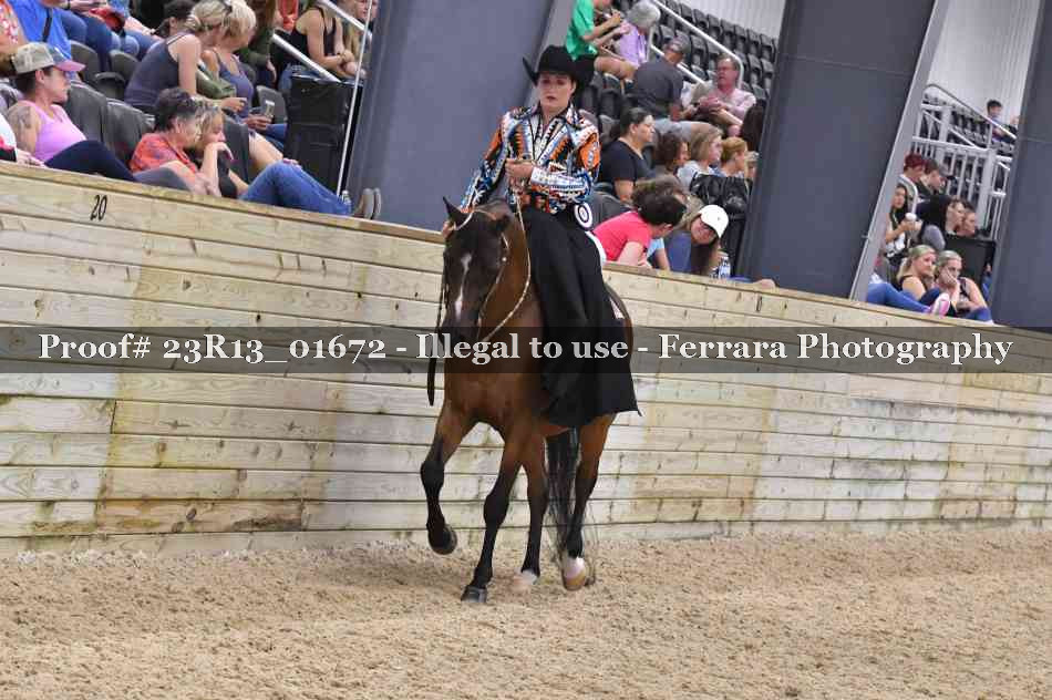 Proof Number 23R13_01672