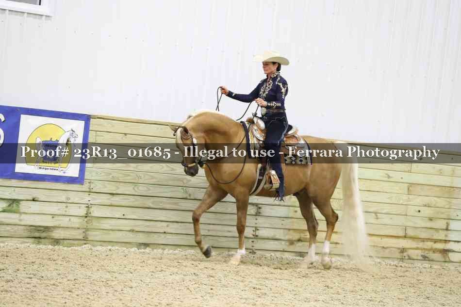 Proof Number 23R13_01685