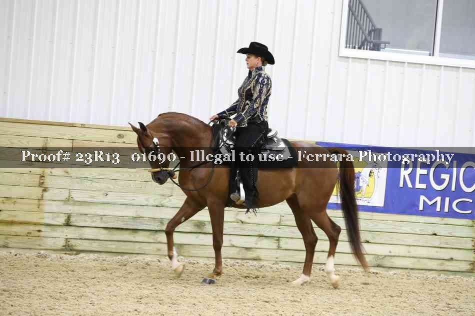 Proof Number 23R13_01690