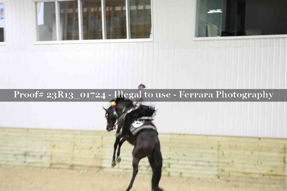 Proof Number 23R13_01724