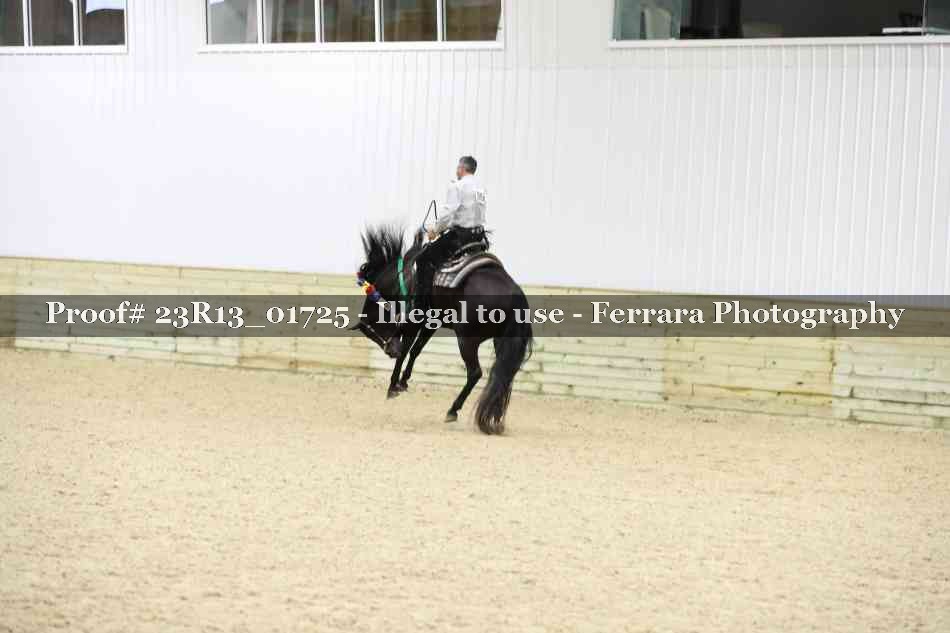 Proof Number 23R13_01725
