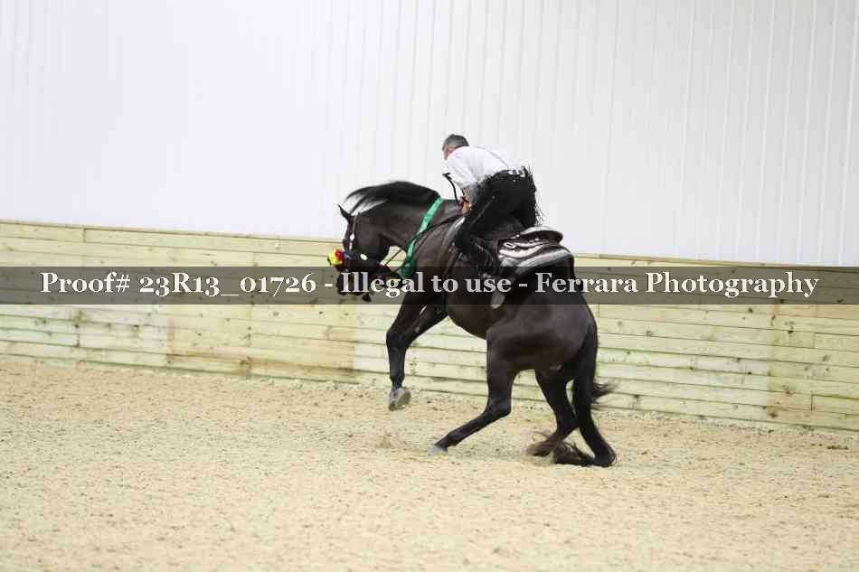 Proof Number 23R13_01726