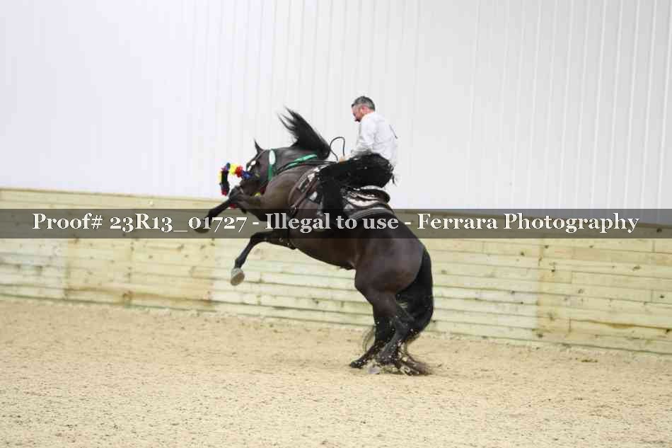 Proof Number 23R13_01727