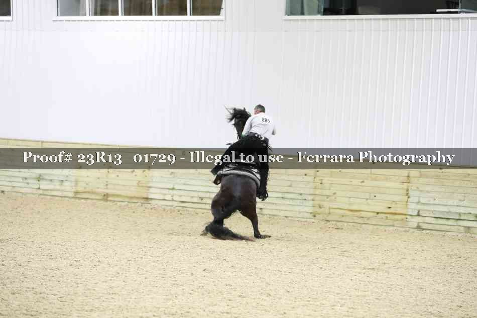 Proof Number 23R13_01729
