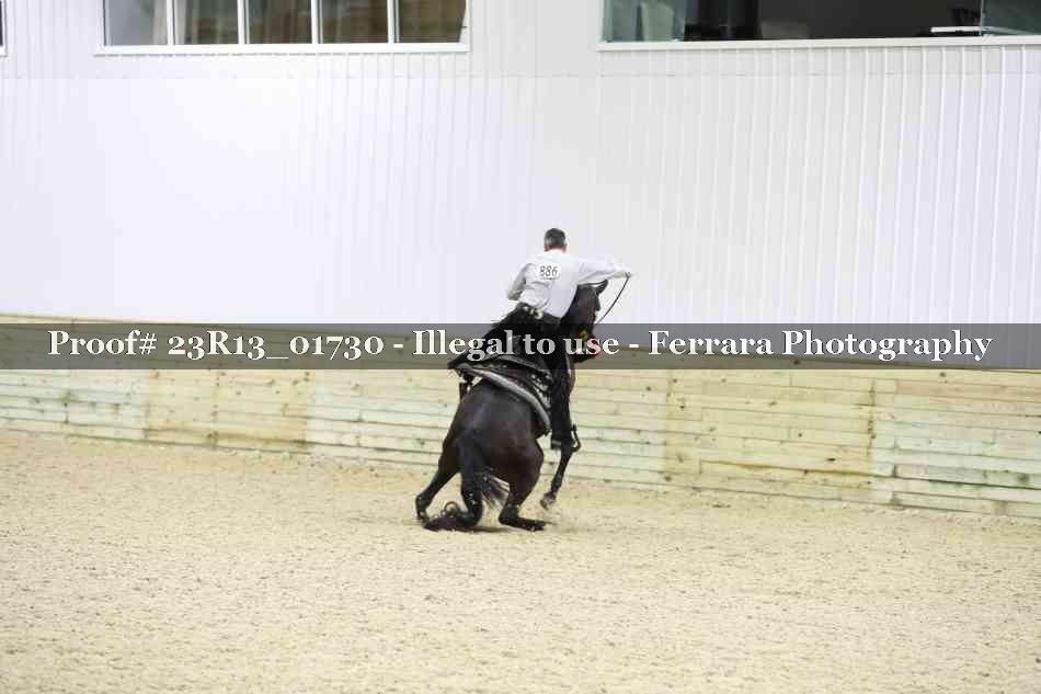 Proof Number 23R13_01730
