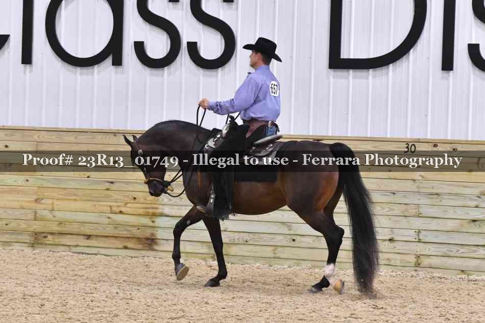 Proof Number 23R13_01749