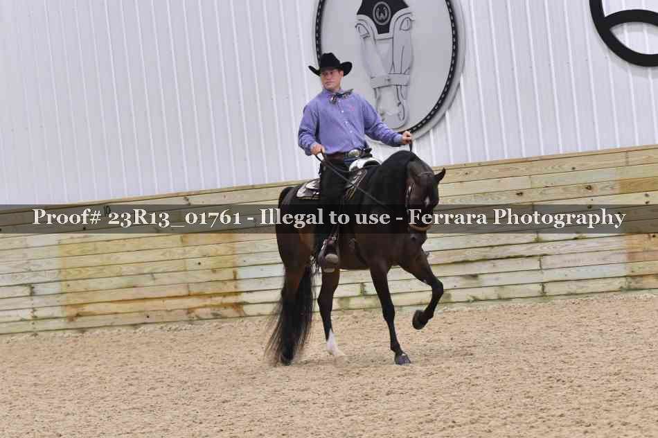 Proof Number 23R13_01761