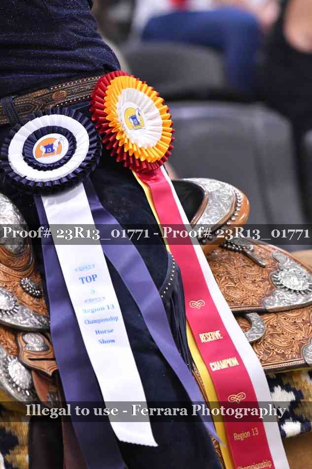 Proof Number 23R13_01771