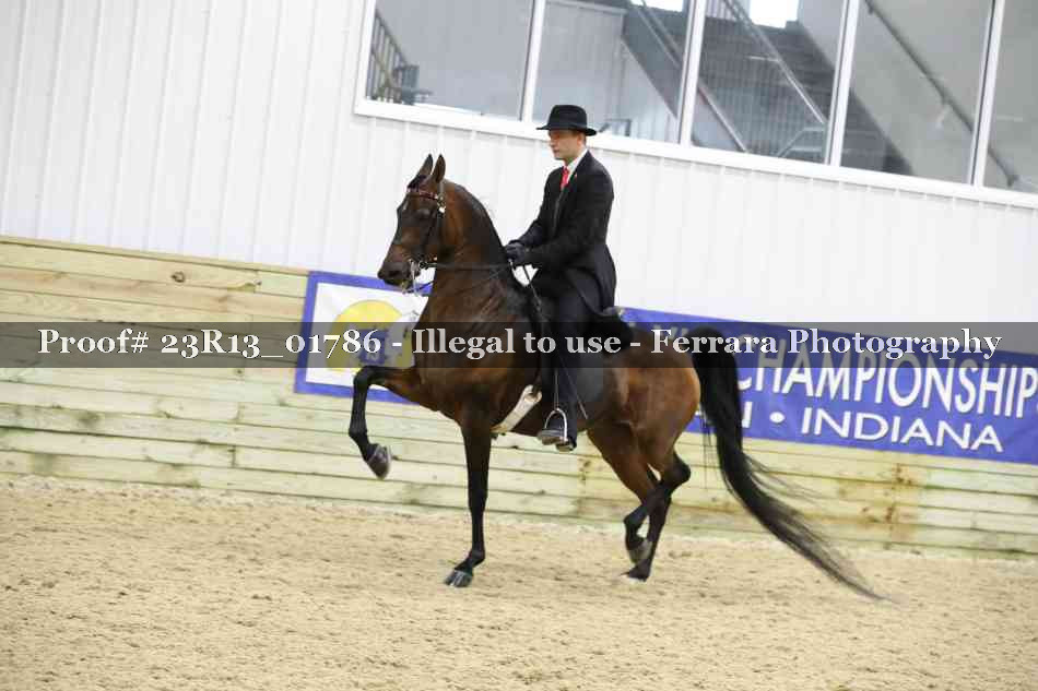 Proof Number 23R13_01786