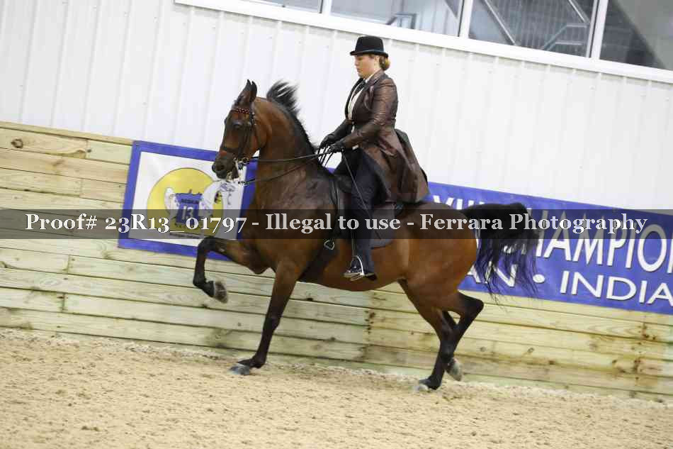 Proof Number 23R13_01797