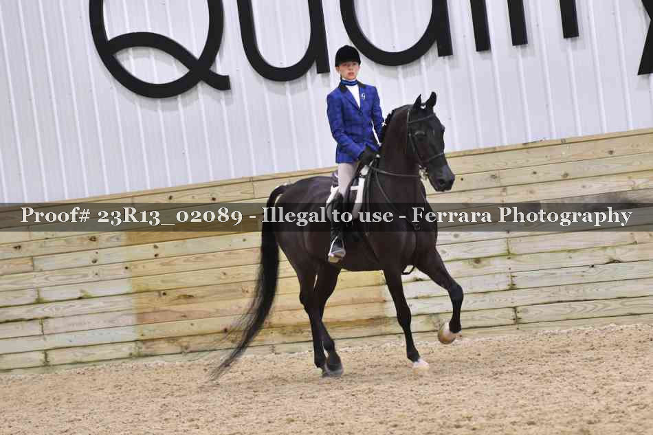 Proof Number 23R13_02089