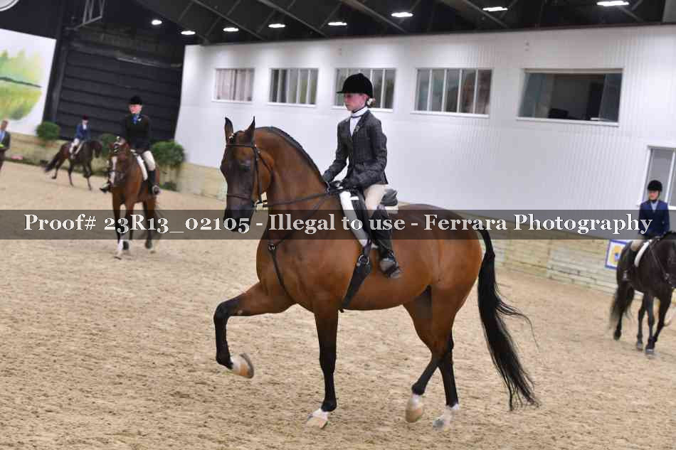 Proof Number 23R13_02105