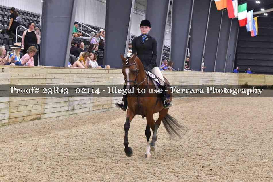 Proof Number 23R13_02114