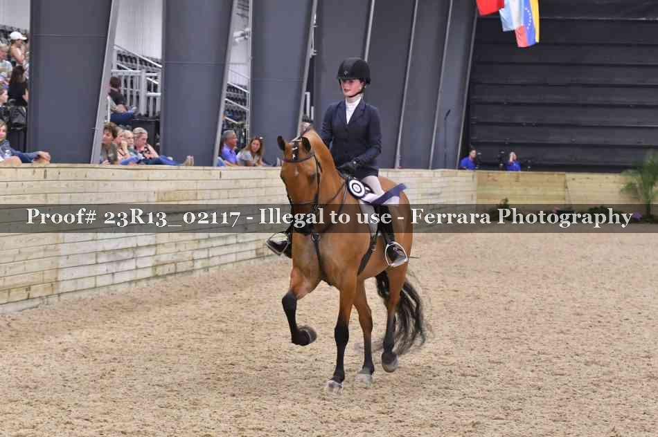 Proof Number 23R13_02117