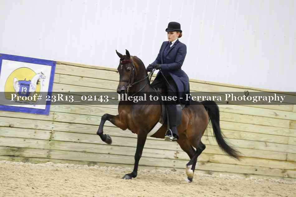 Proof Number 23R13_02143