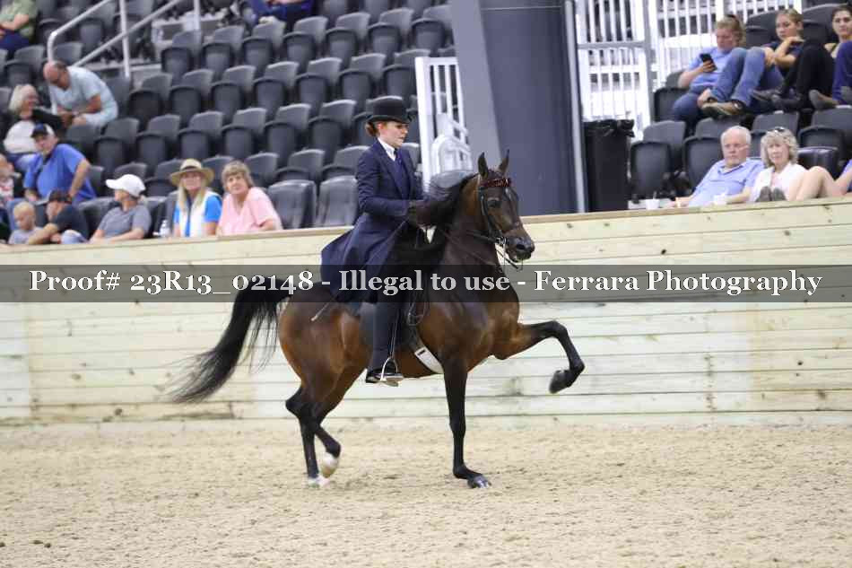 Proof Number 23R13_02148