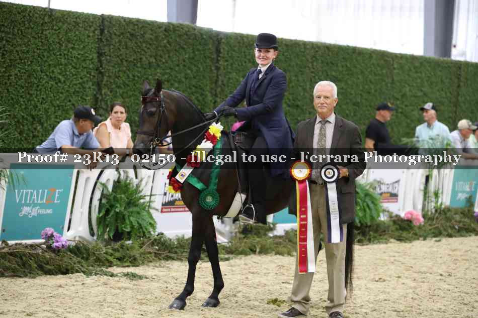 Proof Number 23R13_02150