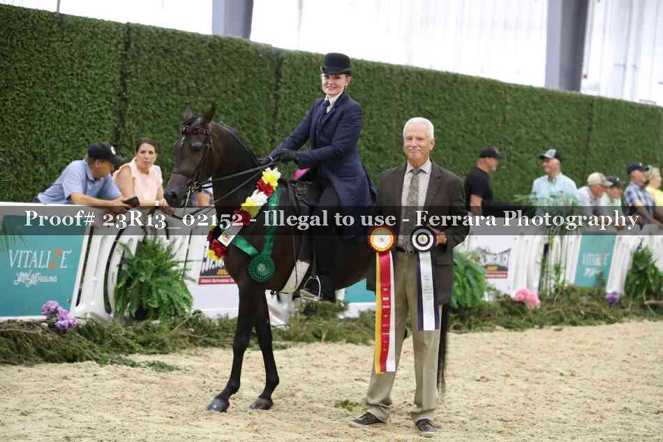 Proof Number 23R13_02152