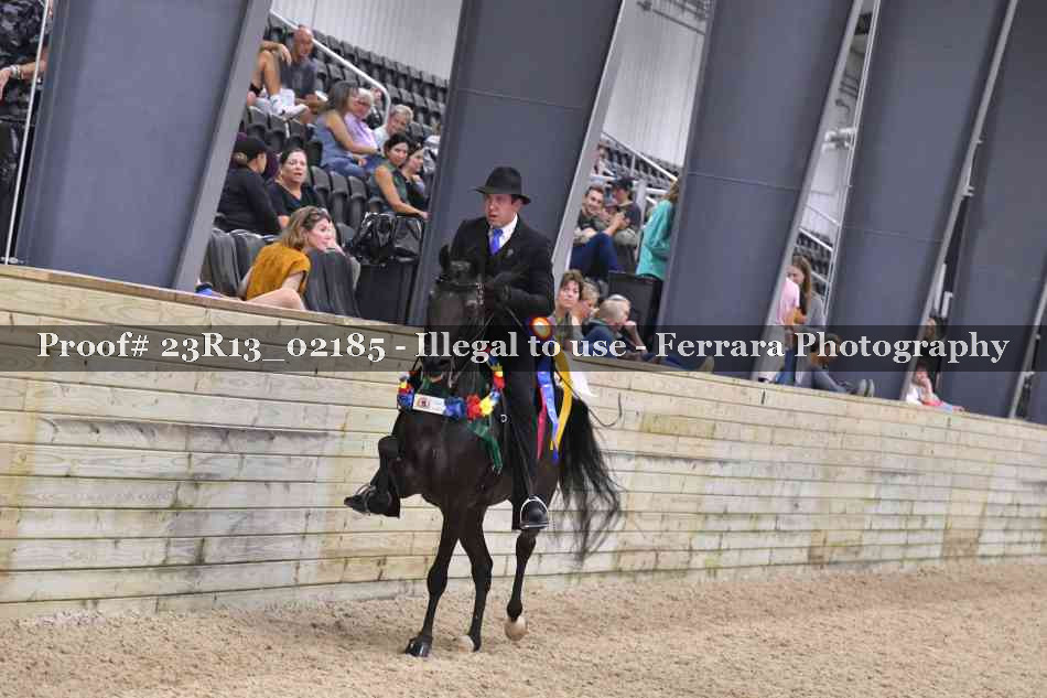 Proof Number 23R13_02185