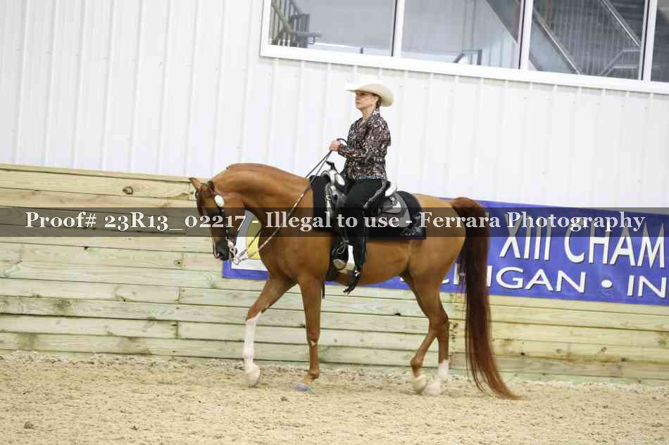 Proof Number 23R13_02217