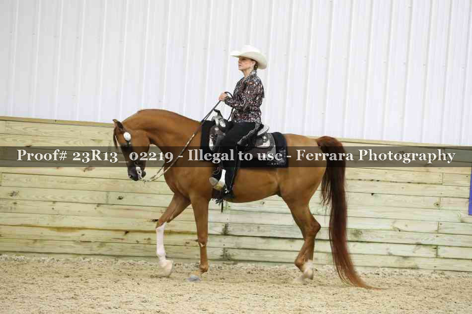 Proof Number 23R13_02219
