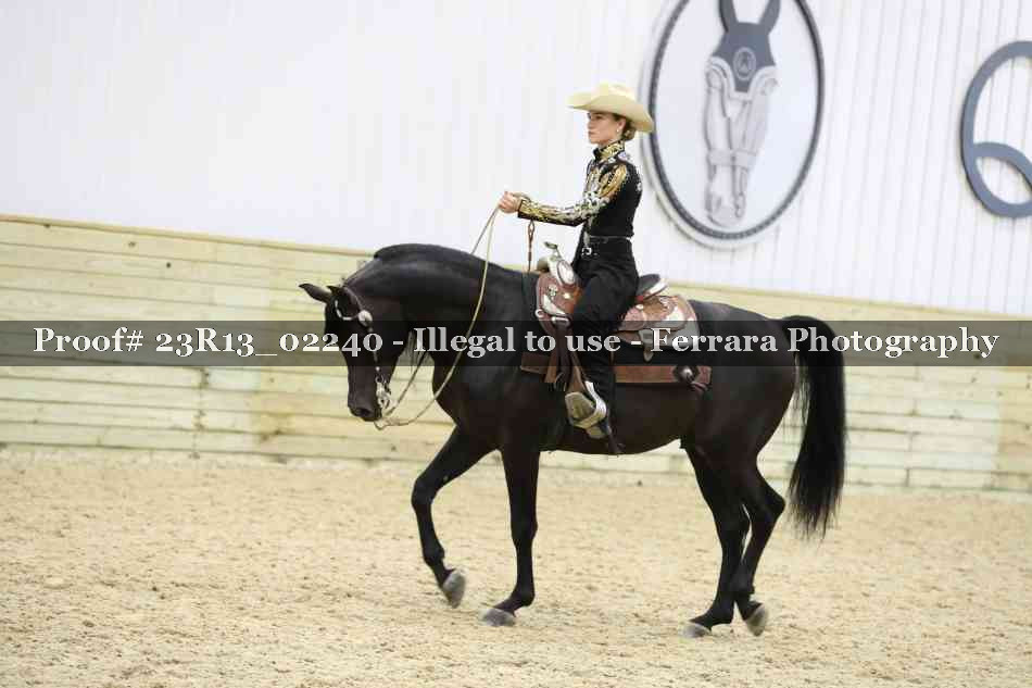 Proof Number 23R13_02240
