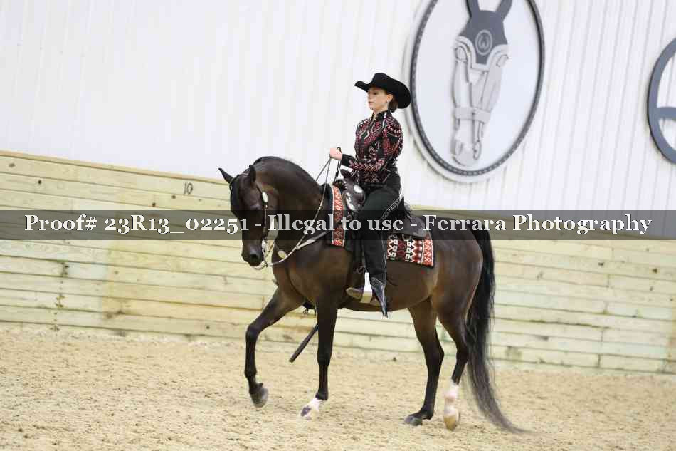 Proof Number 23R13_02251