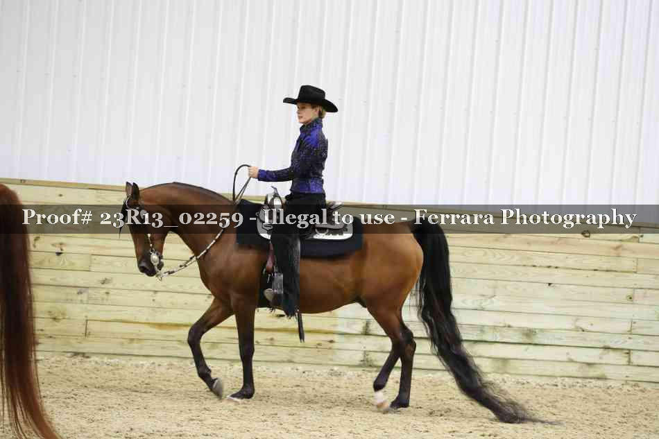 Proof Number 23R13_02259