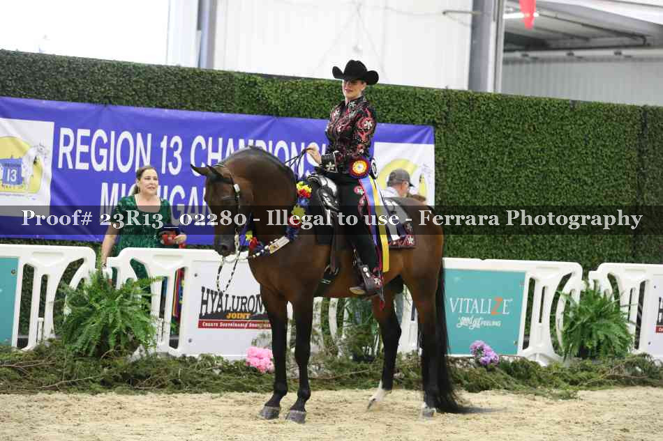 Proof Number 23R13_02280