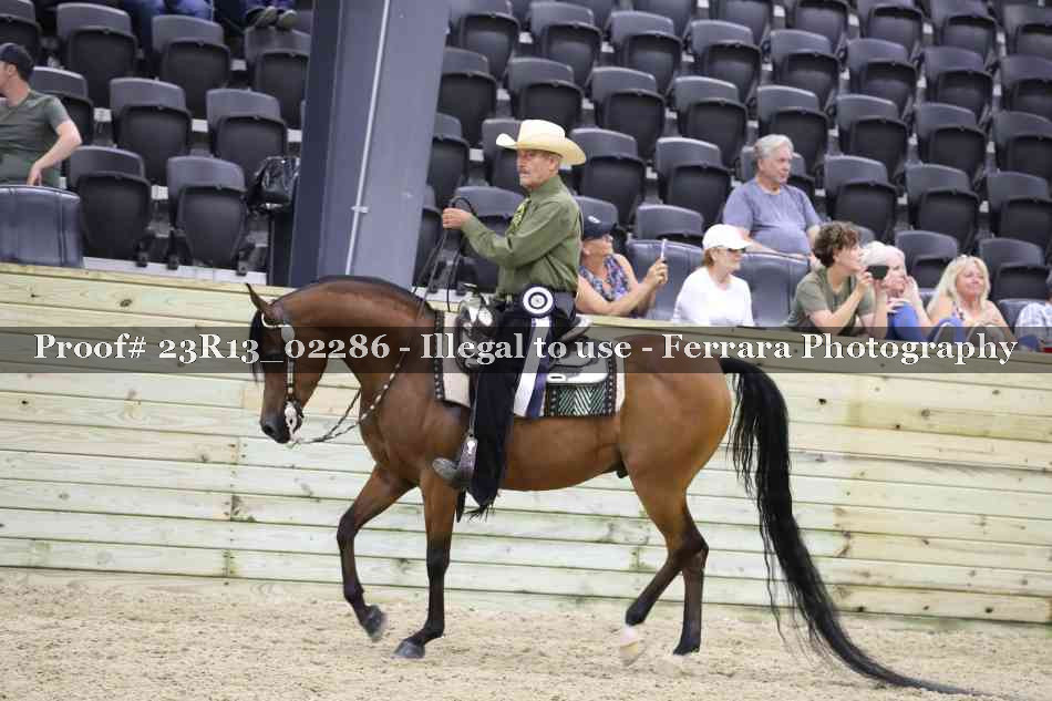 Proof Number 23R13_02286
