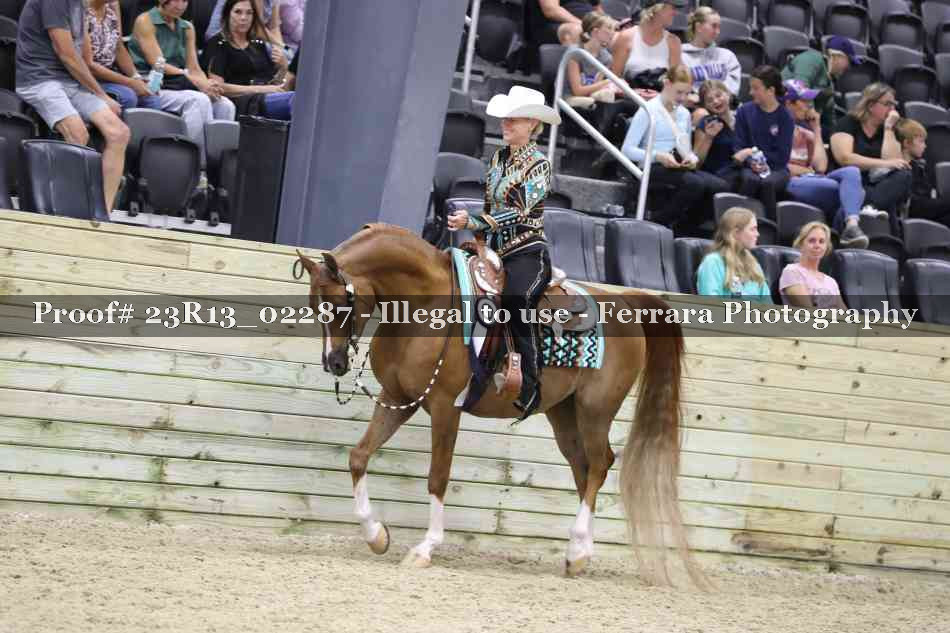 Proof Number 23R13_02287