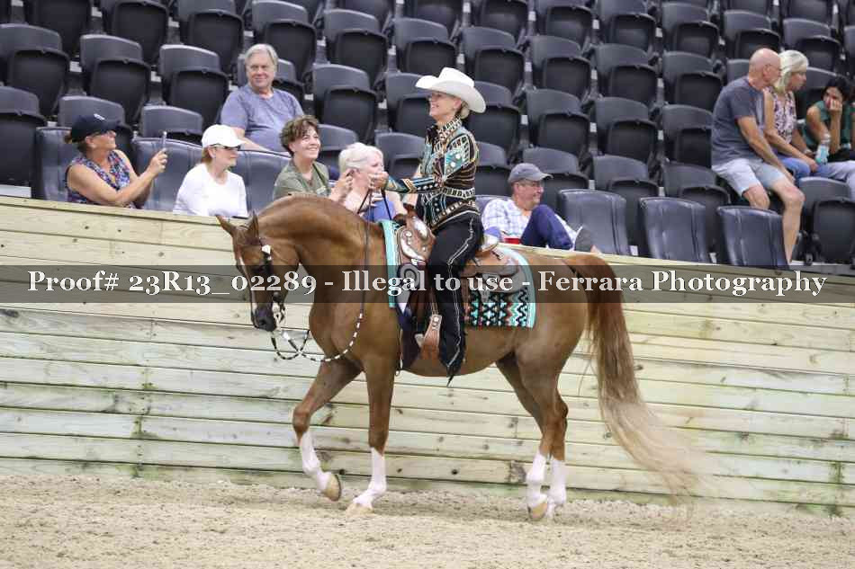 Proof Number 23R13_02289