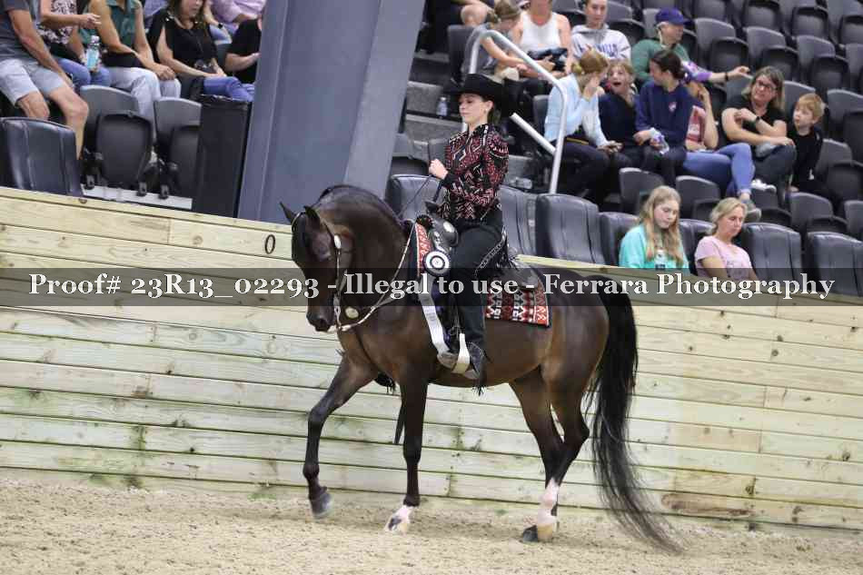 Proof Number 23R13_02293