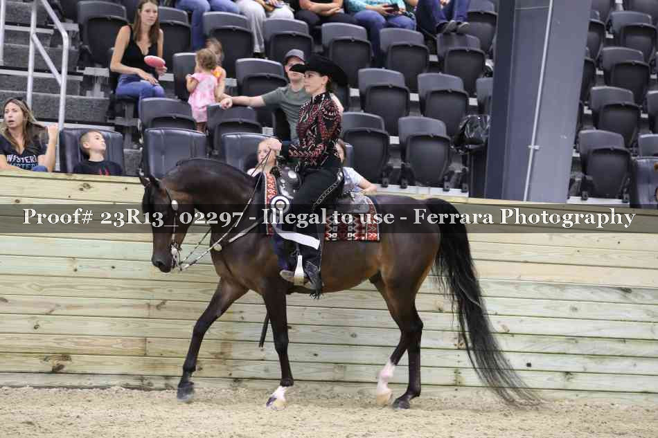 Proof Number 23R13_02297