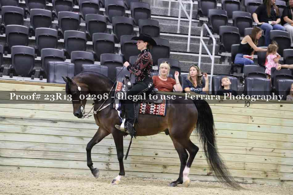 Proof Number 23R13_02298