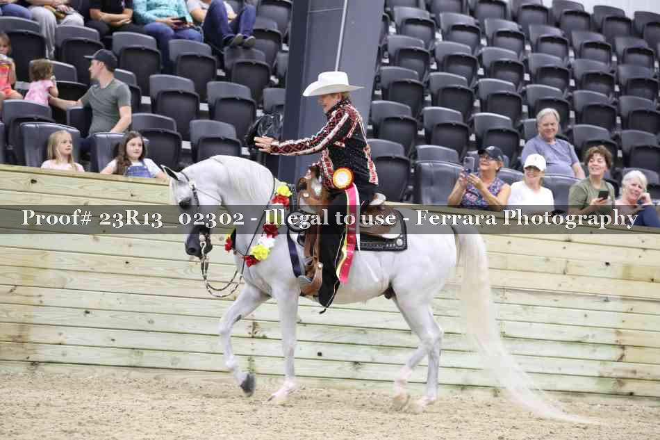 Proof Number 23R13_02302