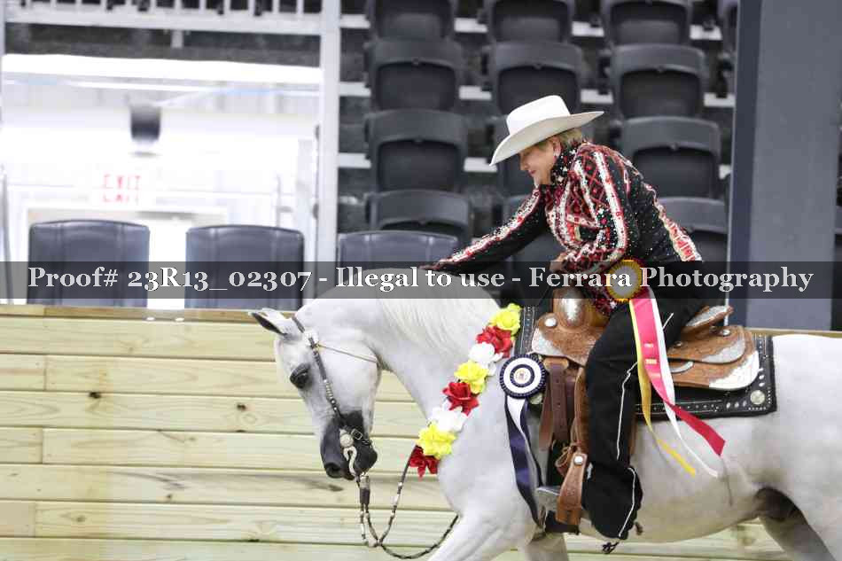 Proof Number 23R13_02307