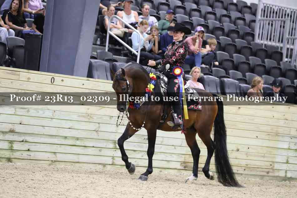 Proof Number 23R13_02309