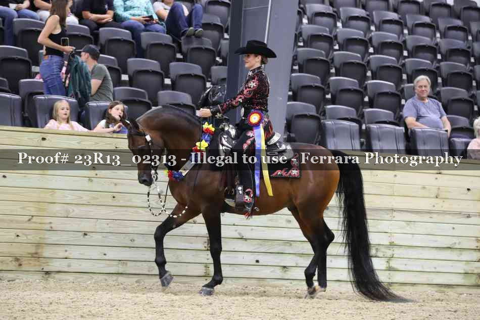 Proof Number 23R13_02313
