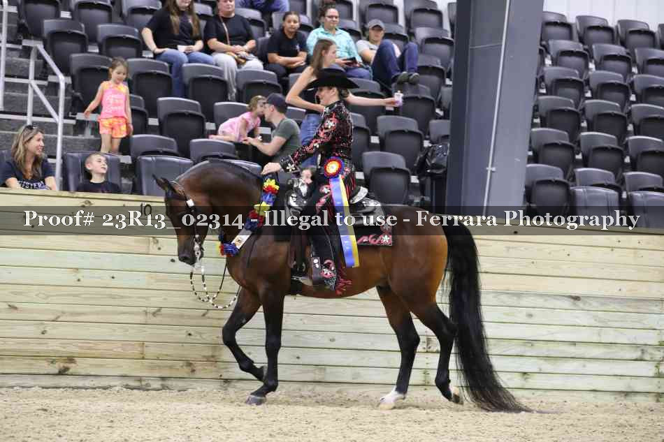 Proof Number 23R13_02314
