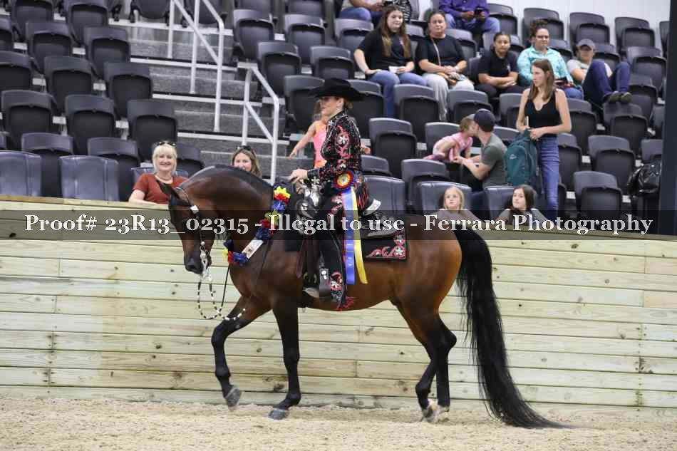 Proof Number 23R13_02315