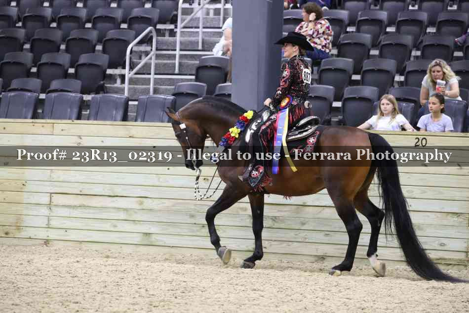 Proof Number 23R13_02319