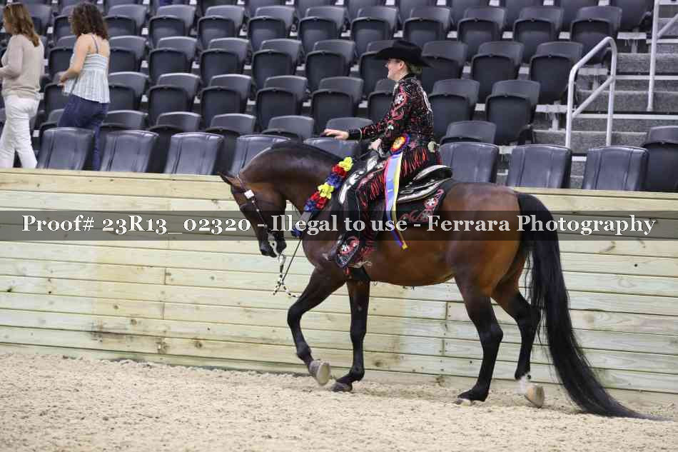 Proof Number 23R13_02320