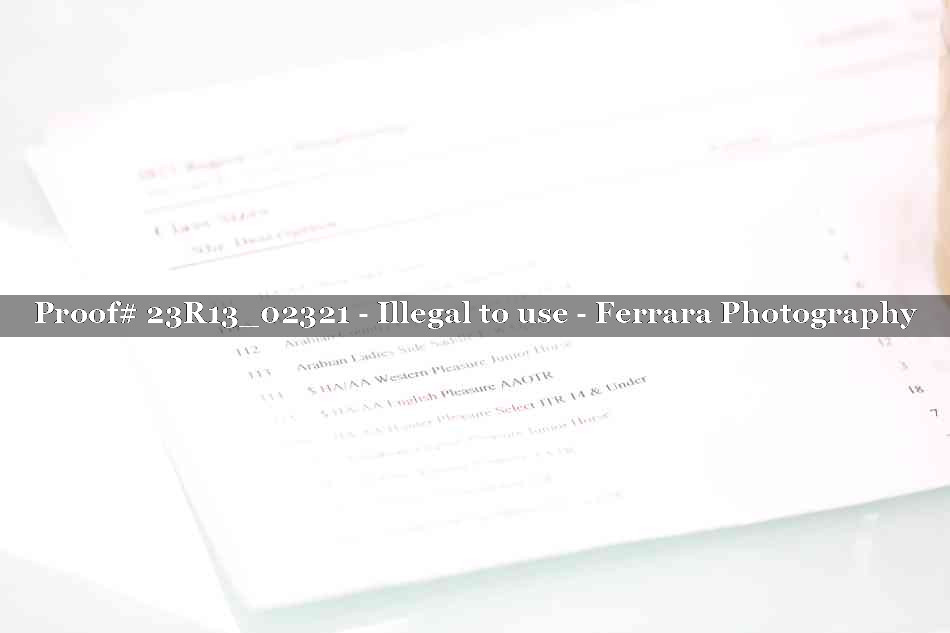 Proof Number 23R13_02321