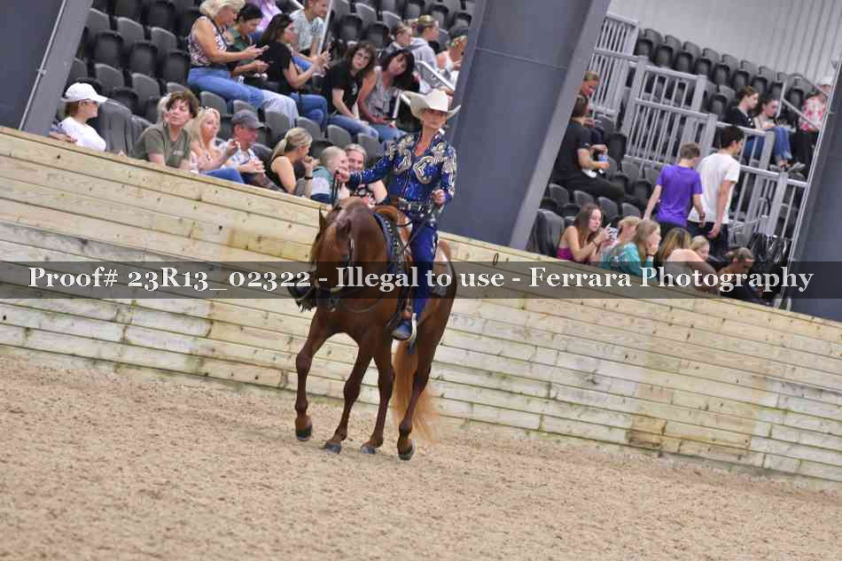Proof Number 23R13_02322