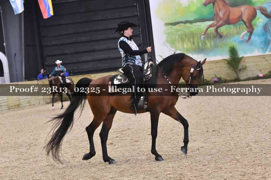 Proof Number 23R13_02325