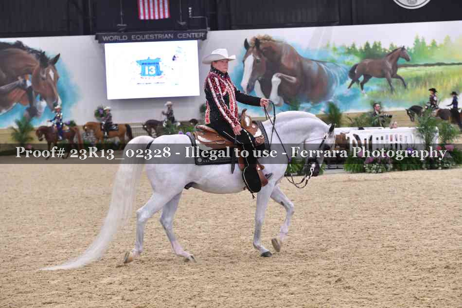 Proof Number 23R13_02328