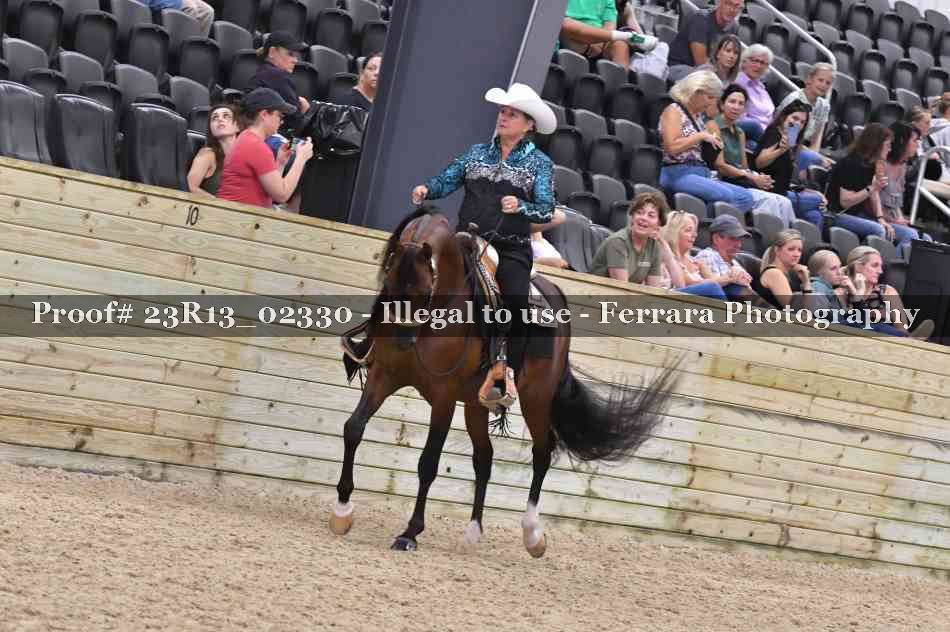 Proof Number 23R13_02330